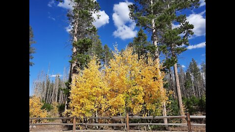 Autumn in Wyoming 1