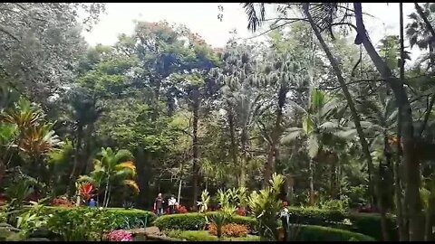 Beautiful Walk In Xalapa Mexico