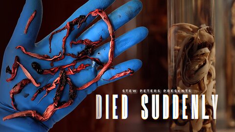 Died Suddenly - The Movie