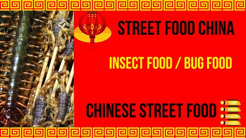 Street Food China - Insect Food / Bug Food - Chinese Street Food