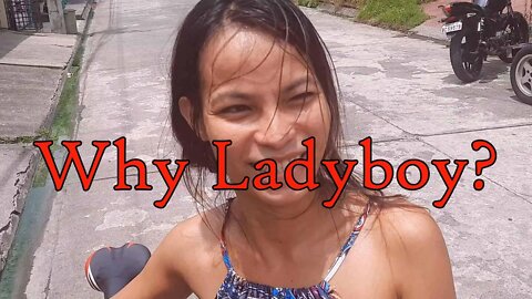 why ladyboy1