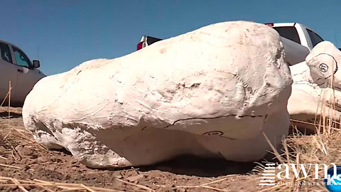 Man’s 76-Million-Year-Old Find In Utah Is Being Called The Most Significant Discovery In Years