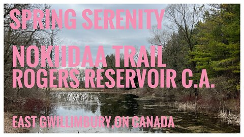 Tranquil Springtime Ambience | Nokiidaa Trail | Rogers Reservoir Conservation Area | Hiking | Relive
