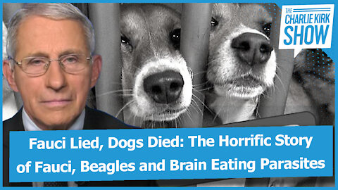 Fauci Lied, Dogs Died: The Horrific Story of Fauci, Beagles and Brain Eating Parasites