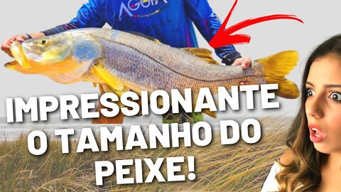 the gabiis pescaria - 🔴OLHA O TAMANHO DESSES PEIXES?!?! - UDERLAN MORAES pescaria