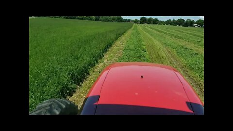 Cutting First Crop Hay