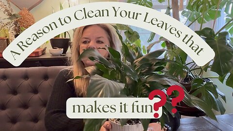 A Reason to Clean Your Leaves that makes it fun? 🥳