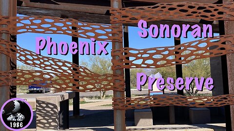 Hiking the Phoenix Sonoran Preserve