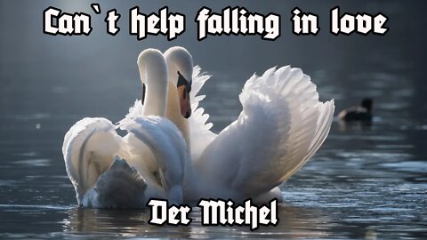 Can`t help falling in love - Der Michel