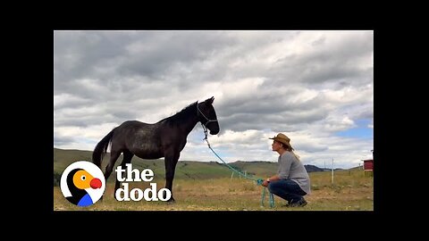 Rescue Horse Loves His Mom — But He's Obsessed With Her Boyfriend