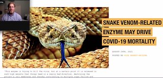 COVID is Venom! Undeniable Proof from Dr. Ardis. Nov 8, 2022