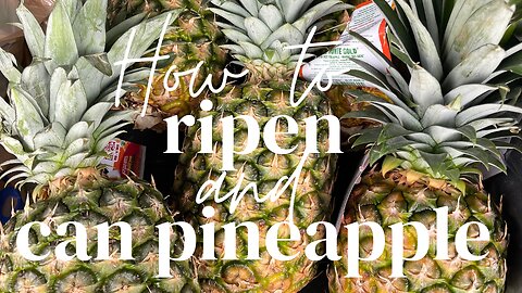 How to ripen and can pineapple