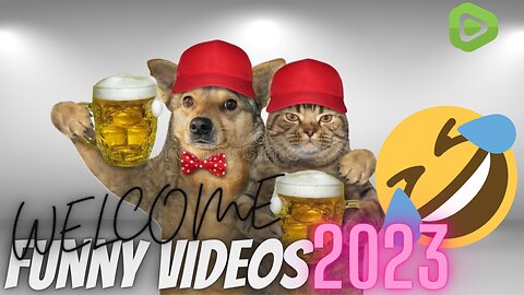 2023 Funny Dog and Cat videos that Make Me Laugh Uncontrollably 😂