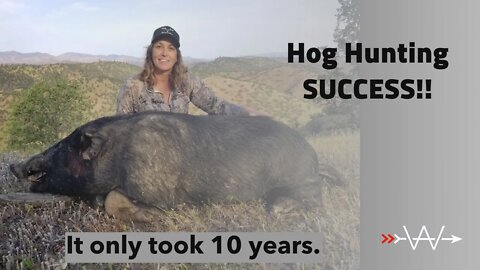 California hog hunt|2022| 10 years in the making.
