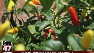 Red chili peppers have health benefits