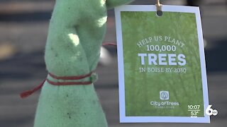 Free tree giveaway at Boise Farmers Market