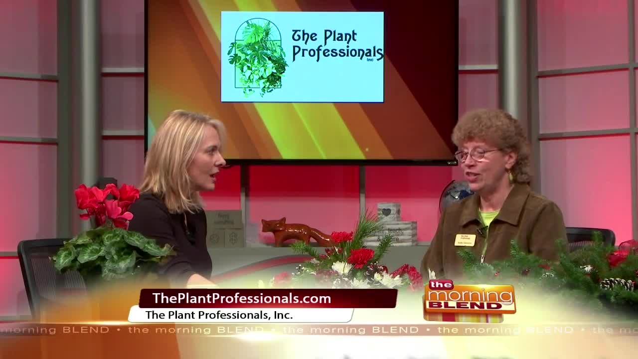 The Plant Professionals - 11/12/19