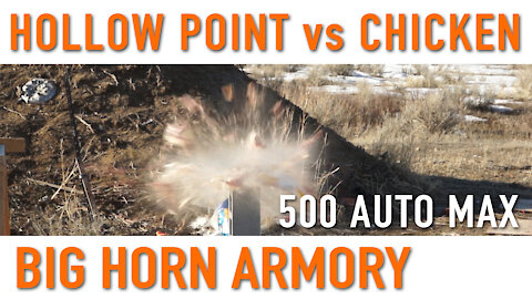 Hollow Point vs Chicken – 500 Auto Max – Big Horn Armory