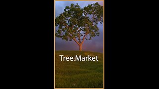 Tree.Market: The Future of Decentralized Marketplaces!