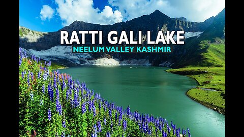 Kashmir Rattigali Travel Vlog and Fun Tour Video ll Arsh Travel & Tourism ll