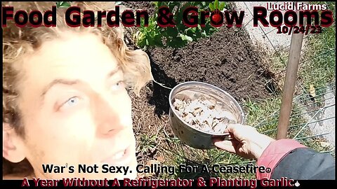 War's Not Sexy. Ceasefire. Year With No Frige & Planting Garlic. 10/24/23 Food Garden & Grow Rooms.