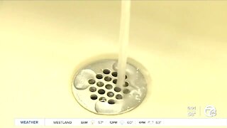 Elevated lead levels found in the water Hamtramck & Benton Harbor