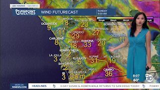 ABC 10News Pinpoint Weather for Sat. Nov. 20, 2021