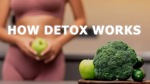 What Happens to Your Body During Detox