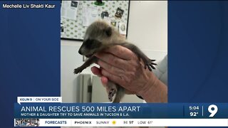 Tucson woman and her mother rescue animals 500 miles apart