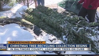 Christmas tree recycling collection begins in Baltimore County