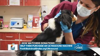 Matching Donations // Foothills Animal Shelter