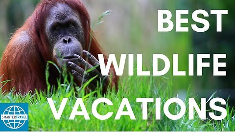 The 5 Best Vacations for Wildlife Lovers - SmarterTravel