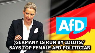 ‘Germany Is Run by Idiots,’ Says Top Female AfD Politician