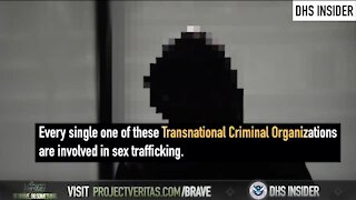 Project Veritas & DHS Insider Exposes International Child Sex Trafficking Gangs Exploiting Loophole