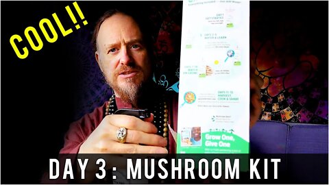 Day 3: Organic Pearl Oyster Mushroom Grow Kit (10 days to Harvest) Sustainability | How To Review