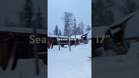 #Snowpole Challenge winter 23-24 update 2 #shortsfeed #shortvideo #shorts #alaskayoutube