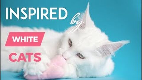 ☆ INSPIRED BY White Cats | Cat compilation video 2024 | Adorable Cat video!
