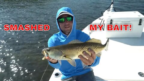 Oyster Bed Fishing for Big Speckled Trout in Tampa Bay
