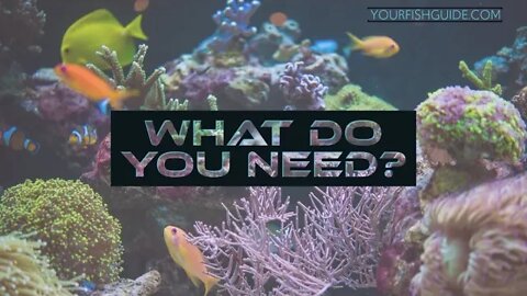 Things To Have To Start A Saltwater Aquarium ~ Educational: Essential Equipment | Things YOUR Need