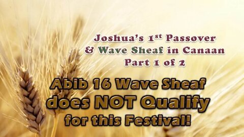 2.16 Joshua & Wave Sheaf Pt 1
