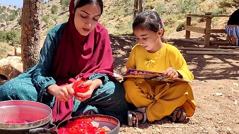 A heartwarming act of kindness: A beautiful couple's gift to a lost nomadic girl: Nomads of Iran
