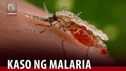 Malaria cases sa buong mundo, pumalo na sa halos 250-M