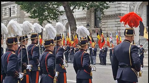 Belgium parade remembering the war dead #london