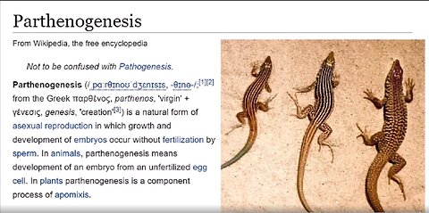 PARTHENOGENESIS MICHELLE 2