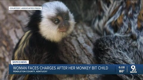Kentucky woman's monkey euthanized after biting child