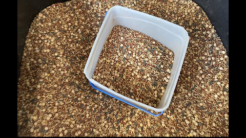 DIY Chicken Feed: Healthier and saves MONEY!!! No Chemicals Added!!