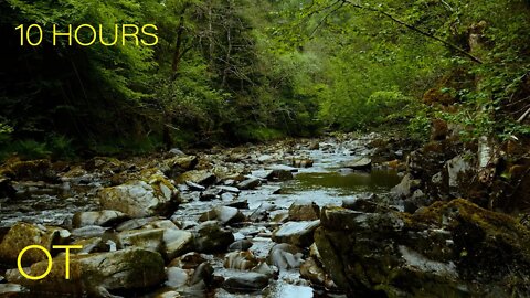 Rainy Afternoon on the River | Rain and Flowing Water Sounds for Relaxation | Studying | Sleeping