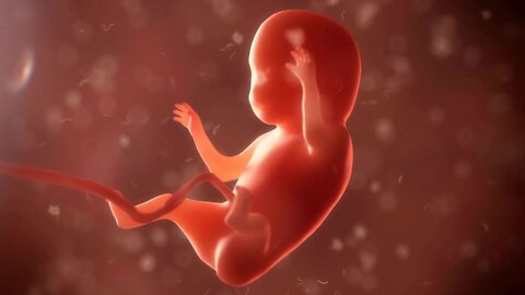 💥Aborted Fetus Cells in processed food & drink. - Another reason to Eat Organic from the Earth.