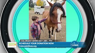 Colorado Gives Day // December 7th