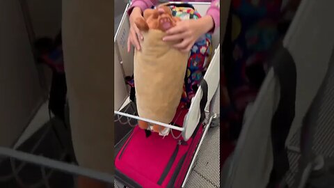 How a child can travel around the world with minimal luggage #shorts